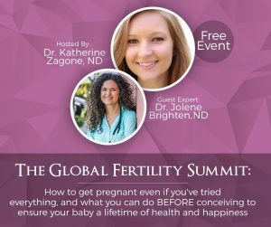 Global Fertility Summit