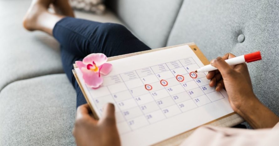 phases of the menstrual cycle