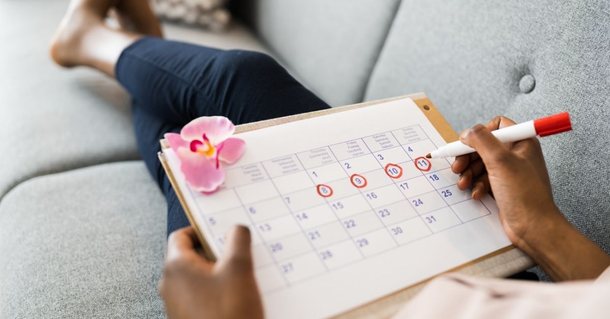 phases of the menstrual cycle