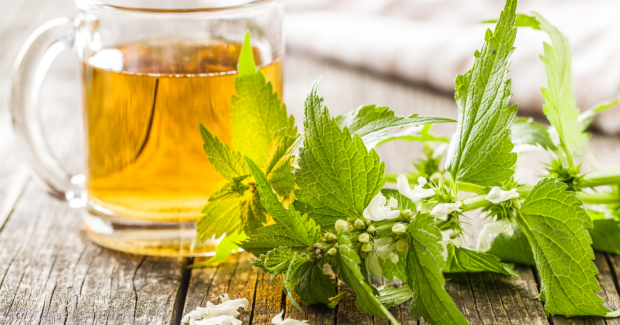 Nettle Root for PCOS
