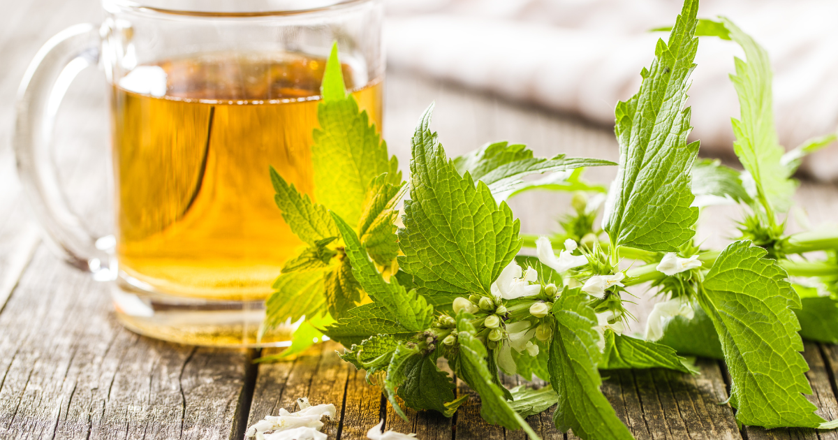 Nettle Root for PCOS