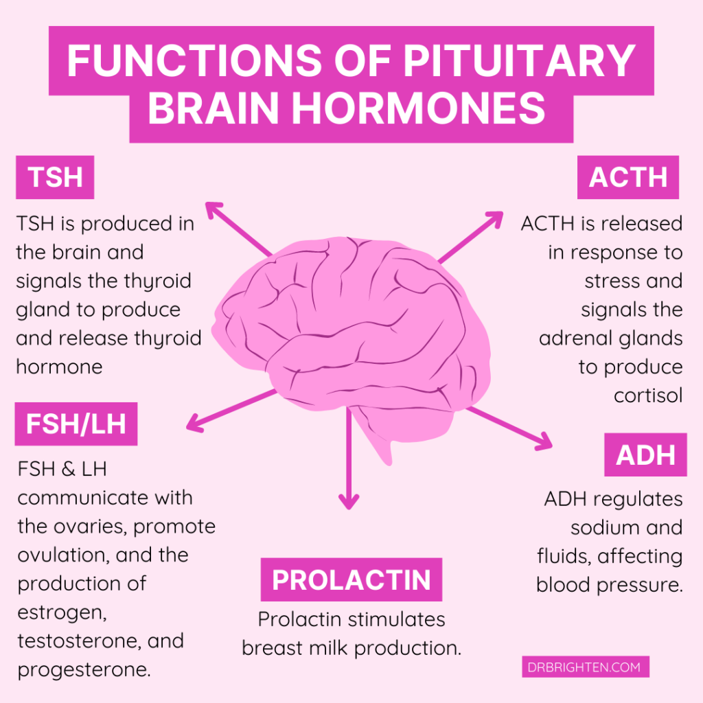 nervous system function