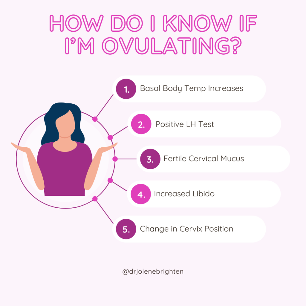 How to know if you are ovulating