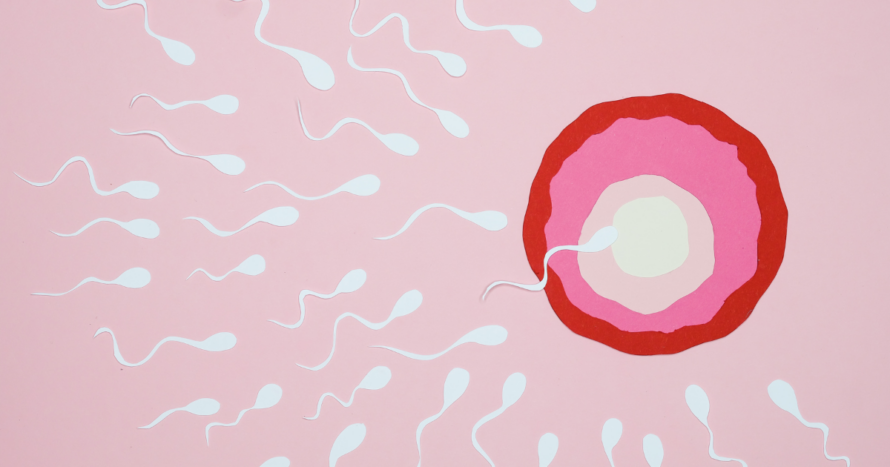 Lab Work You Need While Trying to Conceive