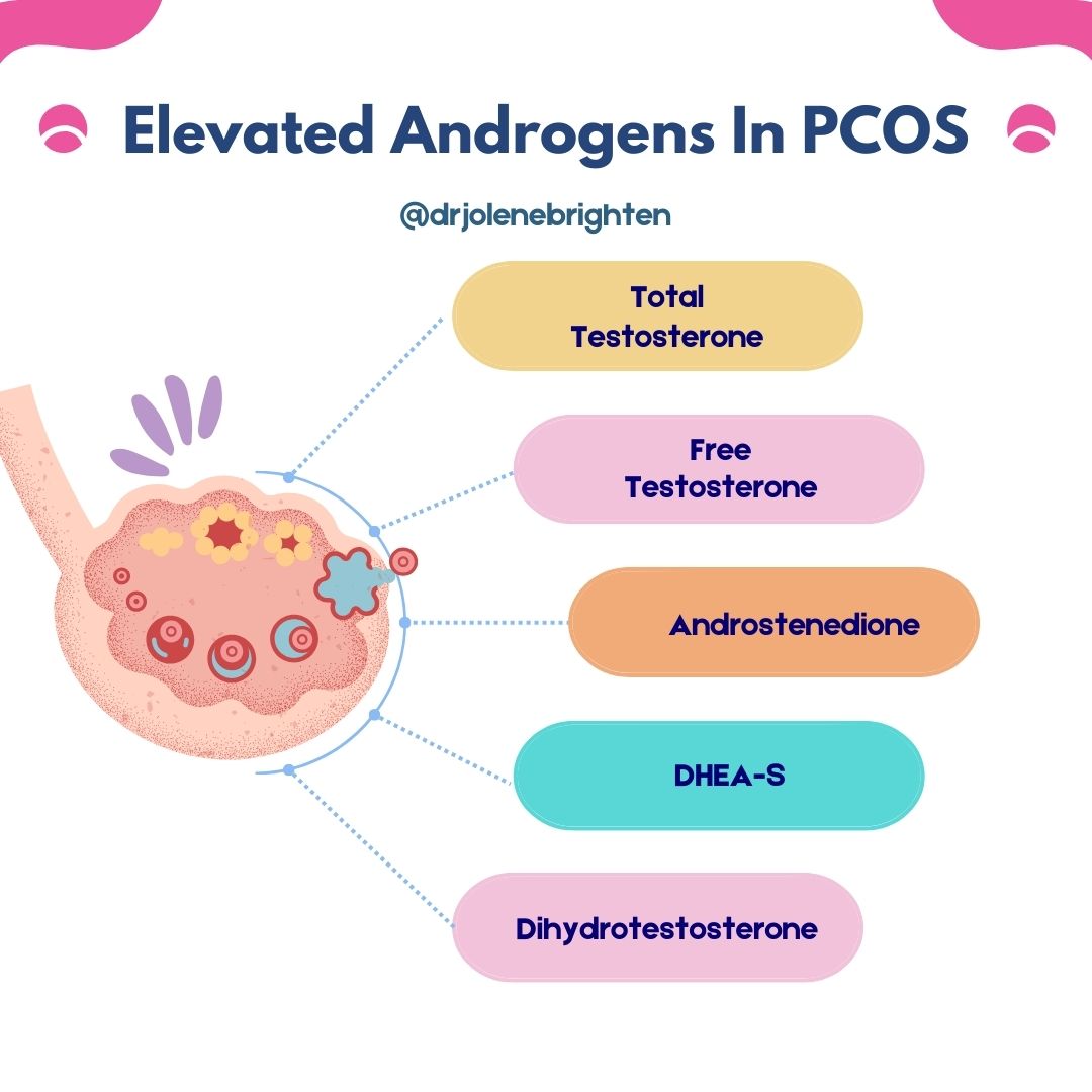 which androgens are elevated in pcos