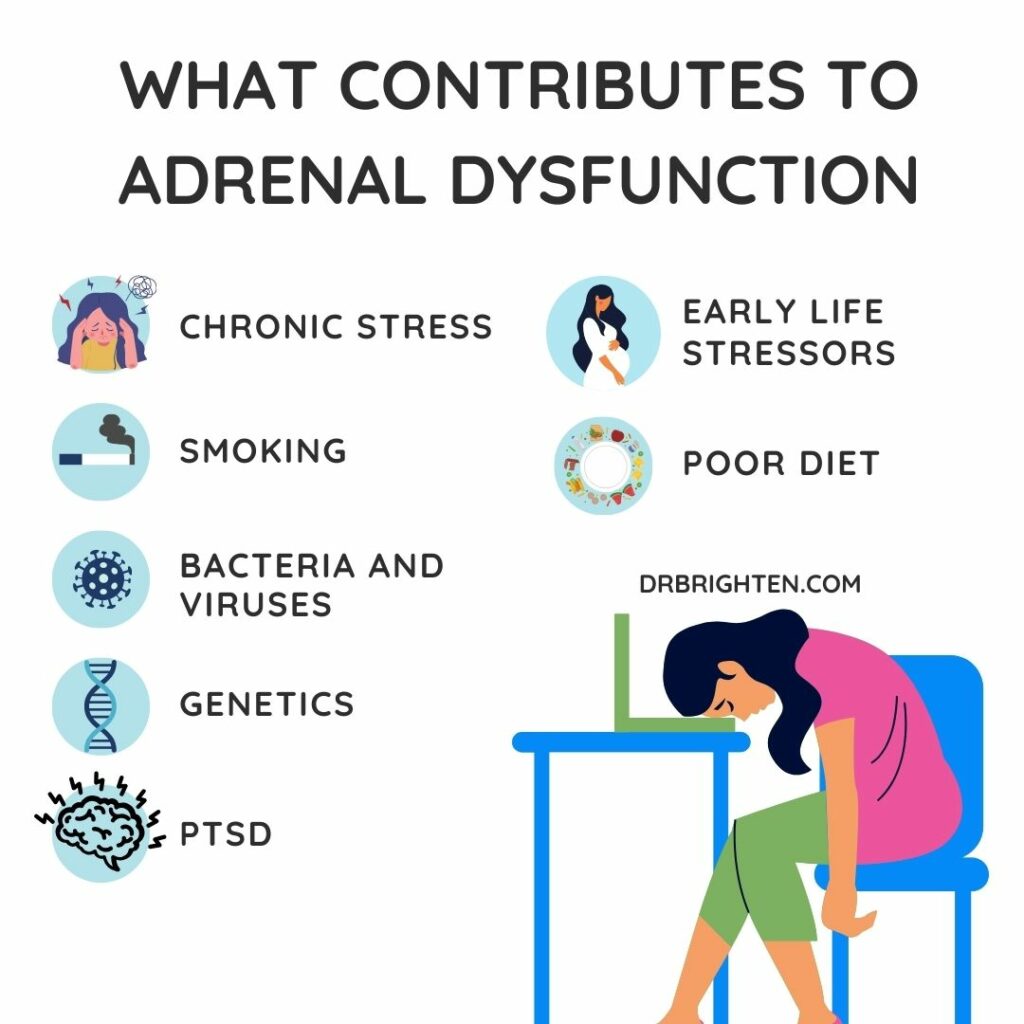 What Contributes to Adrenal Dysfunction