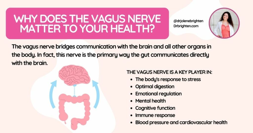 meaning of vagus nerve for health