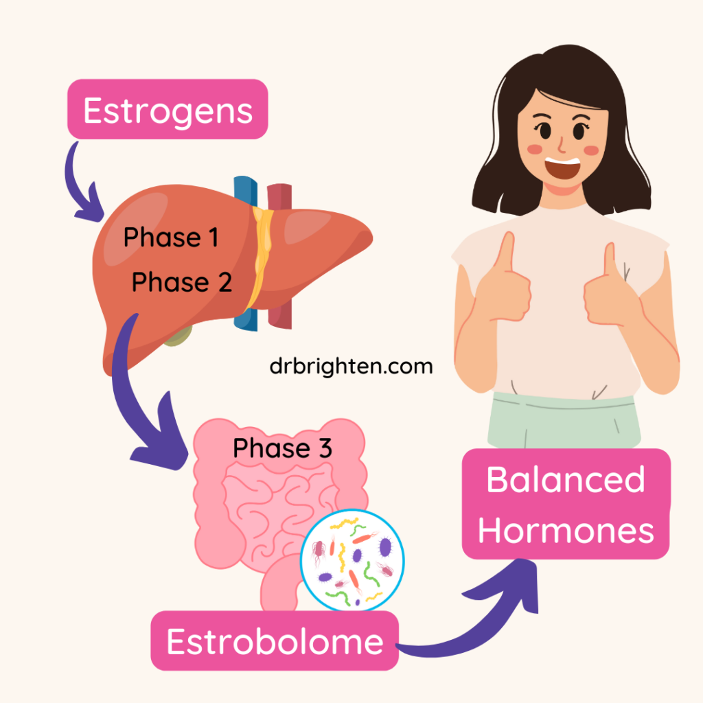 estrogens