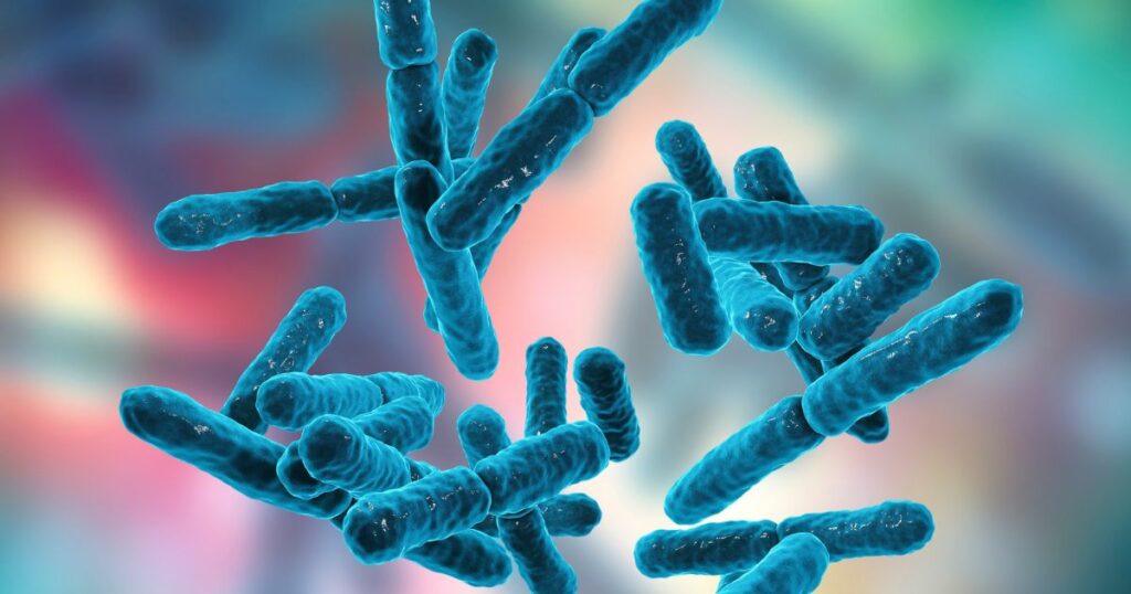 probiotics women