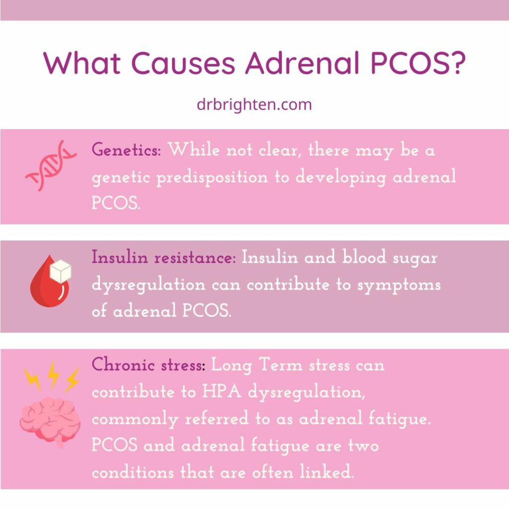 the auses of pcos