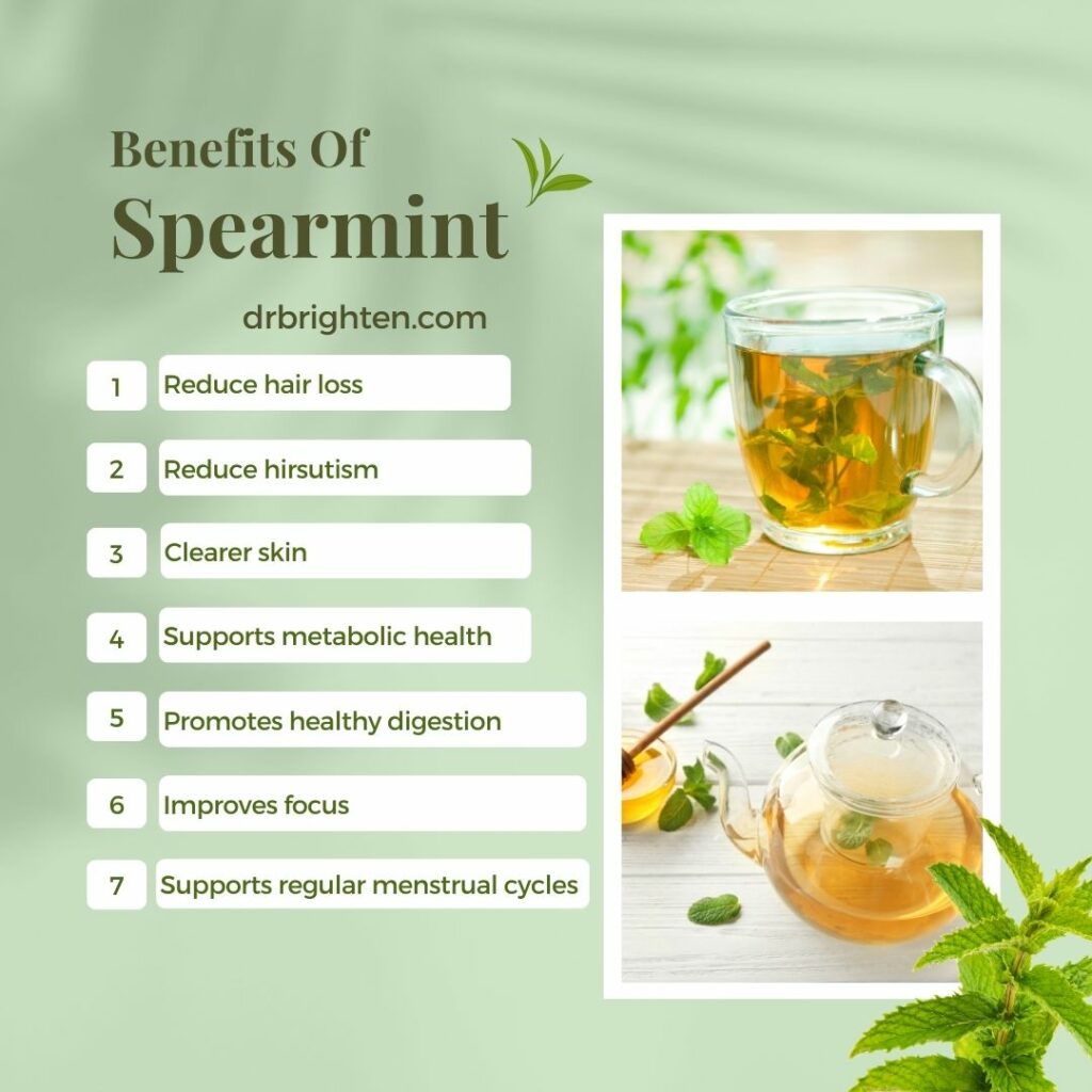 benefits of spearmint