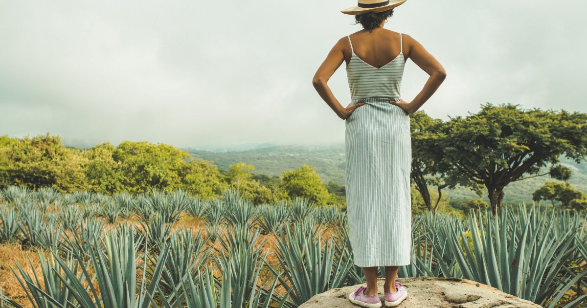 How Long Does It Take Probiotics to Work